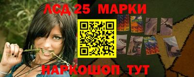 мяу мяу мука Кандалакша