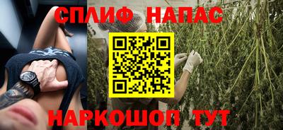 мяу мяу мука Кандалакша