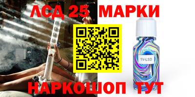 мяу мяу мука Кандалакша