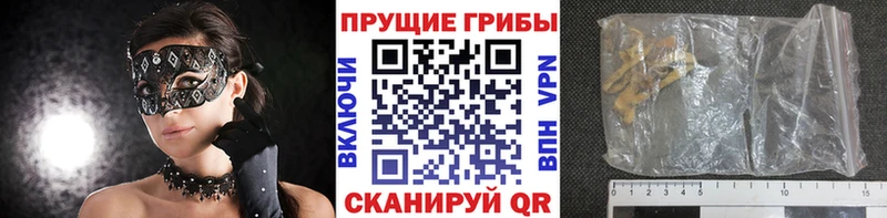 kraken   Майский  Галлюциногенные грибы Psilocybine cubensis 